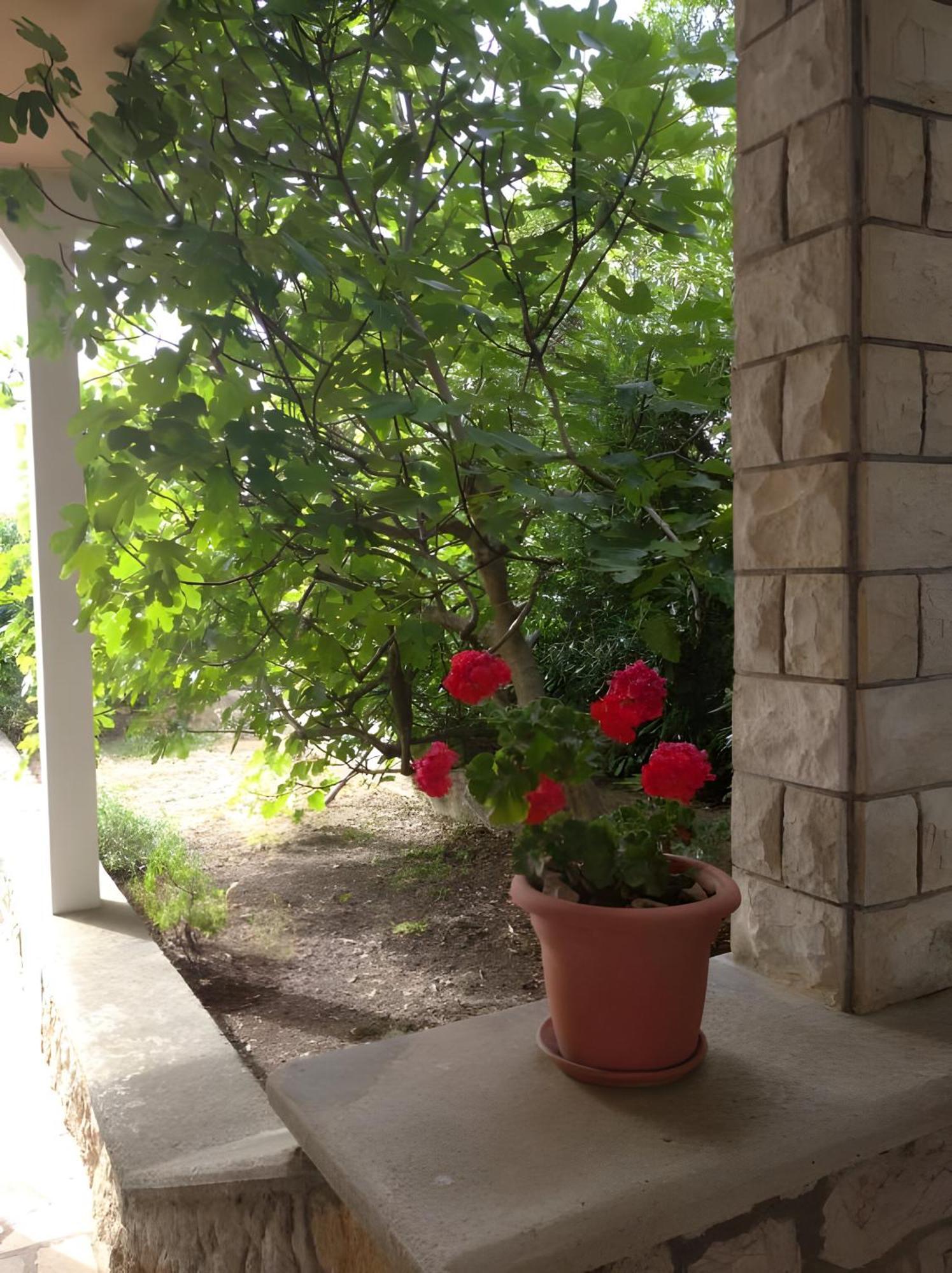 Cozy Apartments Danica Novalja - Ground Floor Exterior photo